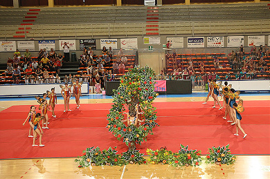 FUNtastic Gym 06, Borgomanero, Saggio 2013, Cartoline dal mondo, Specialistico, Avanzato Junior