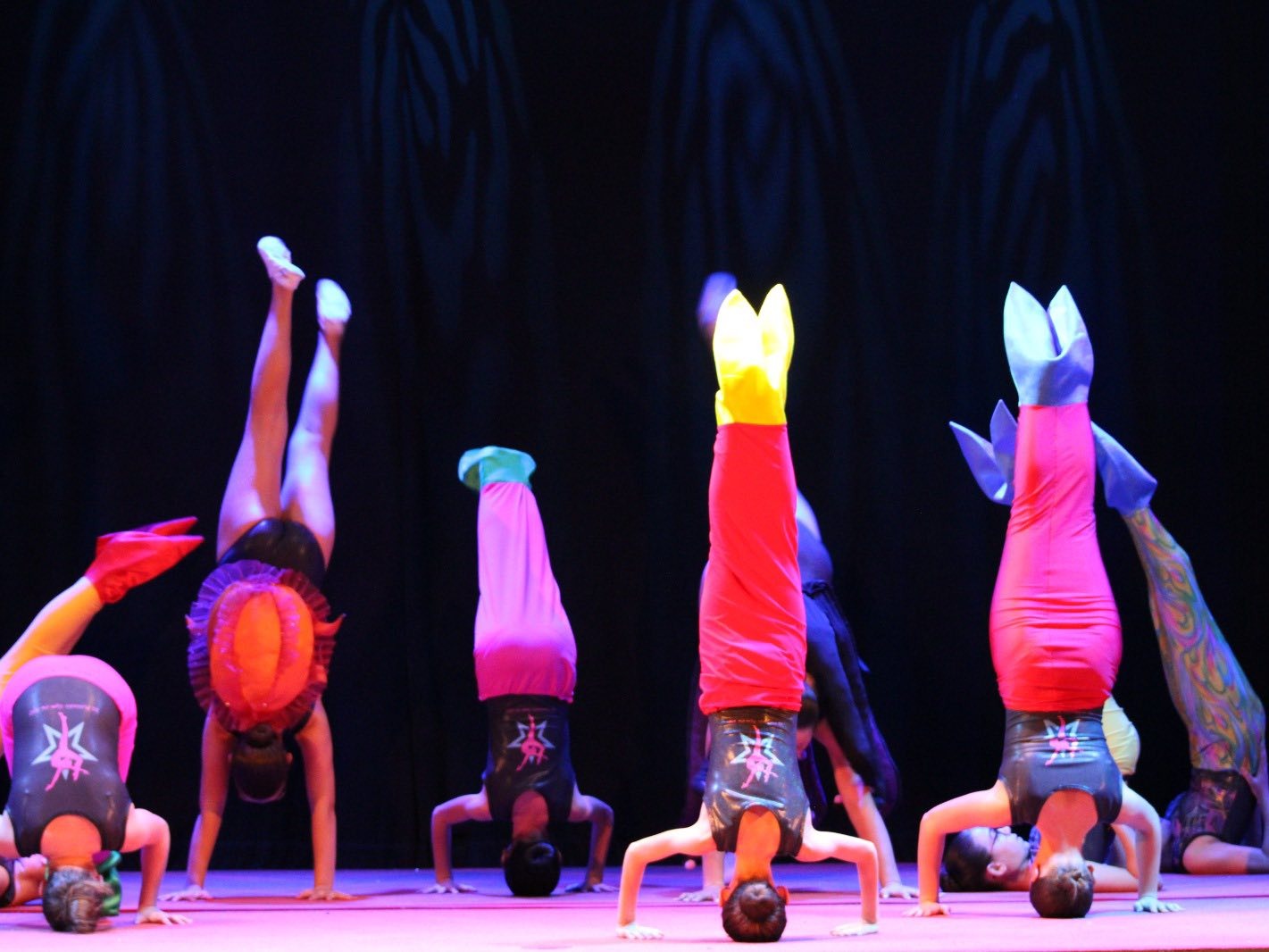 Tutti a scuola Saggio FUNtastic Gym